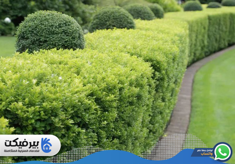 شركة تنسيق حدائق في راس الخيمة