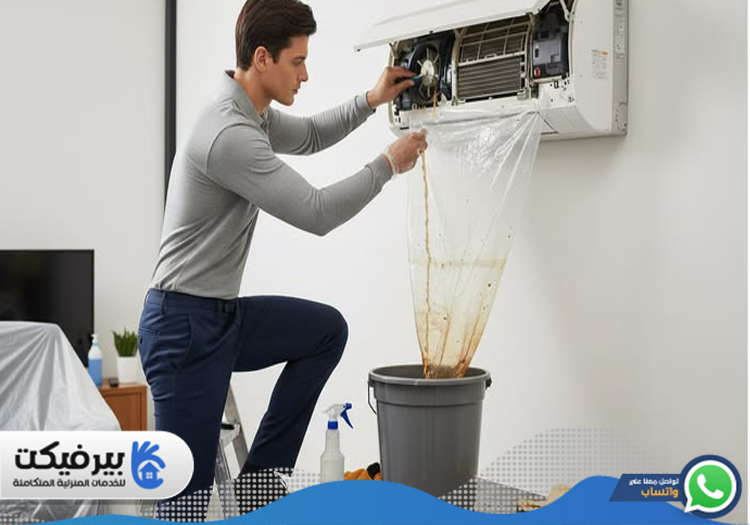شركة تنظيف مكيفات في الذيد